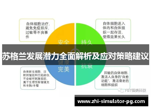 苏格兰发展潜力全面解析及应对策略建议