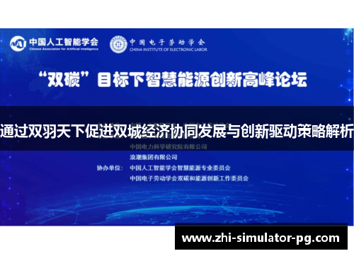 通过双羽天下促进双城经济协同发展与创新驱动策略解析